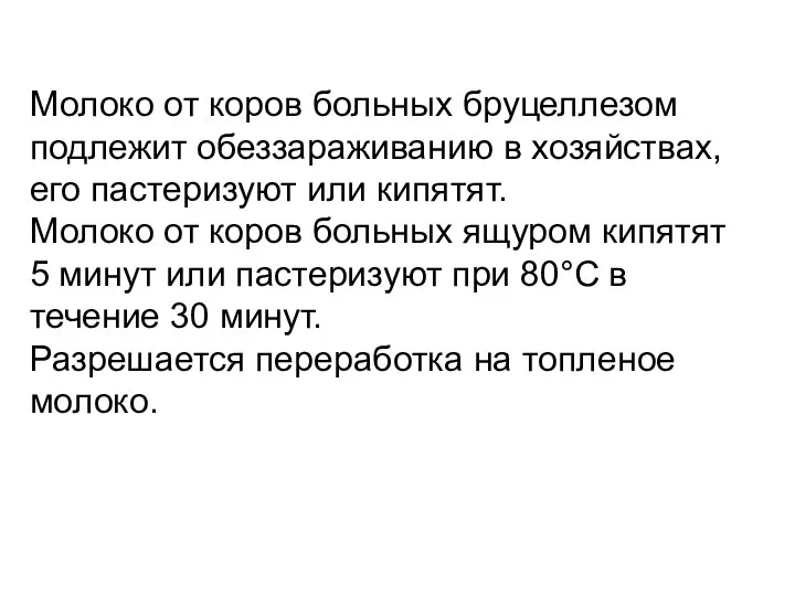 Молоко от коров больных бруцеллезом подлежит обеззараживанию в хозяйствах, его пастеризуют