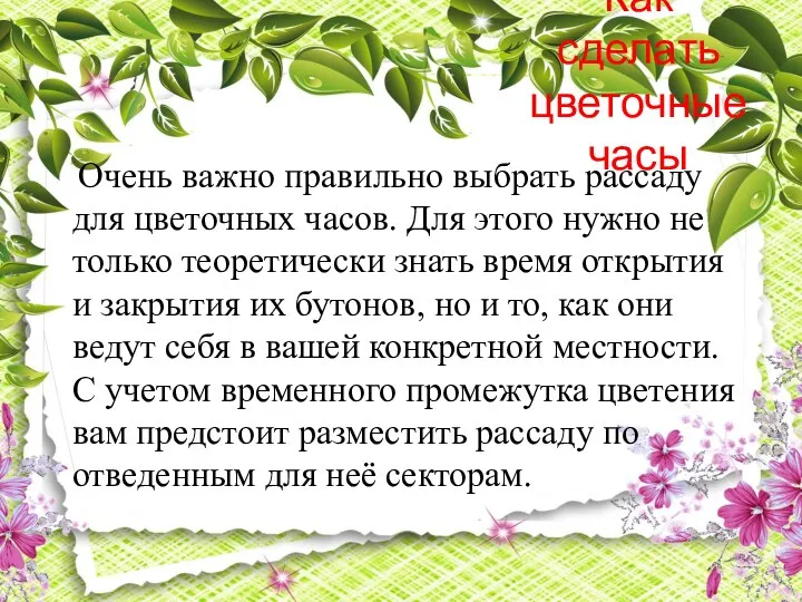 Как сделать цветочные часы Очень важно правильно выбрать рассаду для цветочных