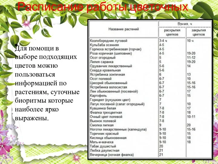 Расписание работы цветочных часов Для помощи в выборе подходящих цветов можно