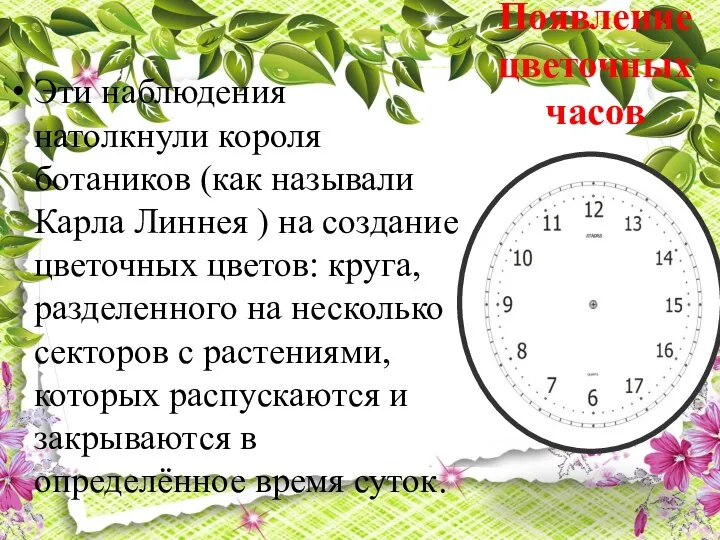 Появление цветочных часов Эти наблюдения натолкнули короля ботаников (как называли Карла