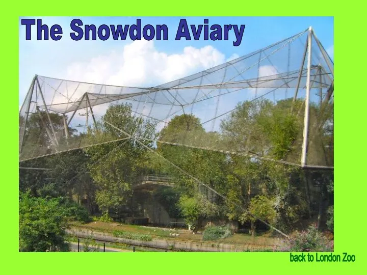 The Snowdon Aviary back to London Zoo