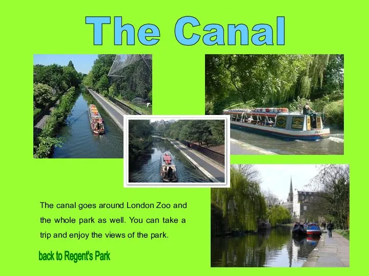 The Canal The canal goes around London Zoo and the whole