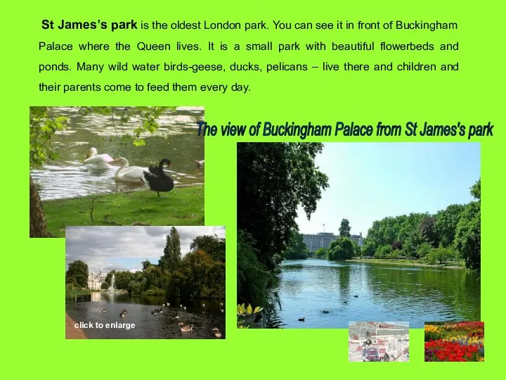 St James’s park is the oldest London park. You can see