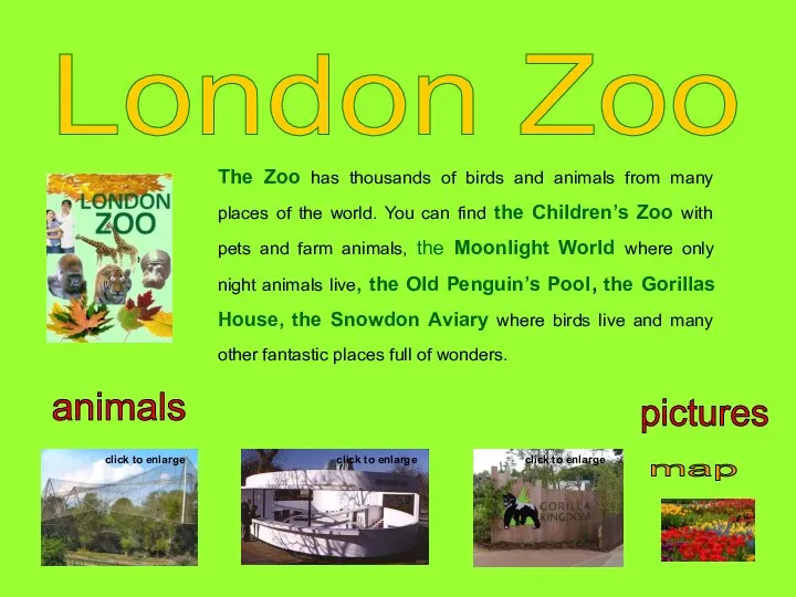 London Zoo map The Zoo has thousands of birds and animals