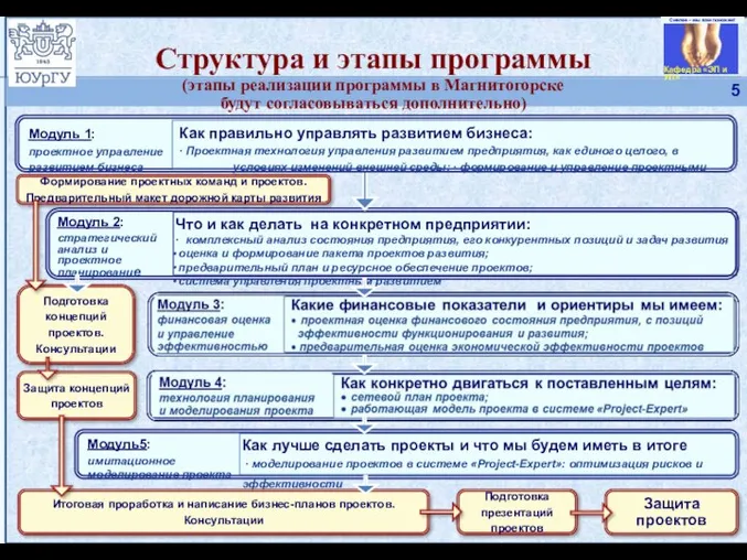 Структура и этапы программы (этапы реализации программы в Магнитогорске будут согласовываться