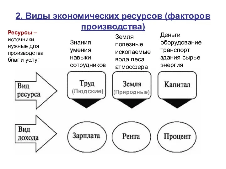 2. Виды экономических ресурсов (факторов производства) Земля полезные ископаемые вода леса