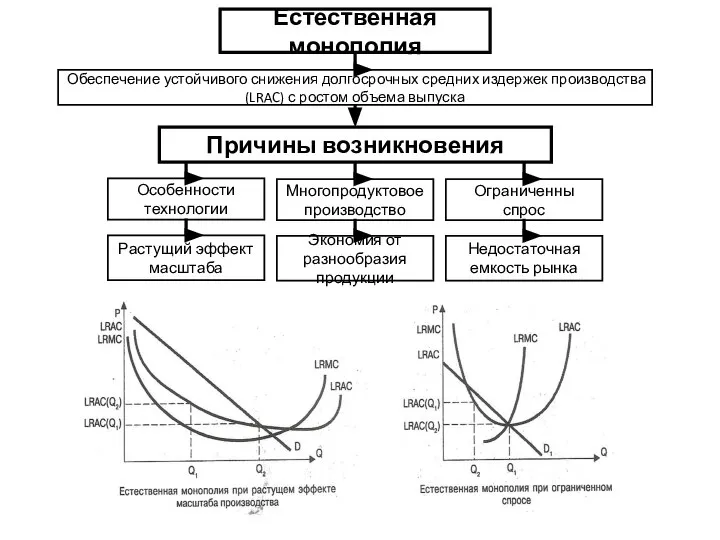 Особенности технологии Многопродуктовое производство Ограниченны спрос Причины возникновения Естественная монополия Обеспечение