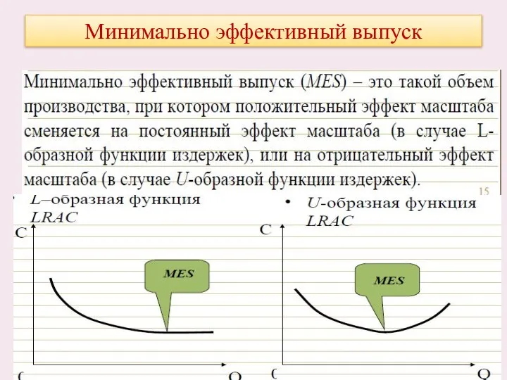 Минимально эффективный выпуск