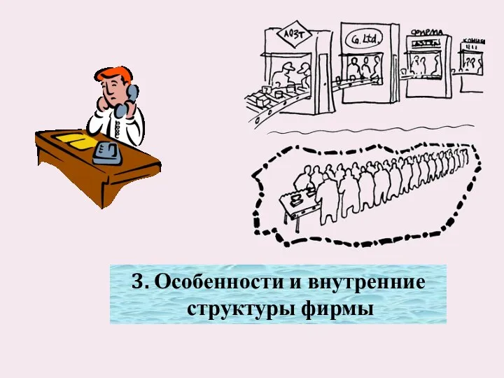 3. Особенности и внутренние структуры фирмы