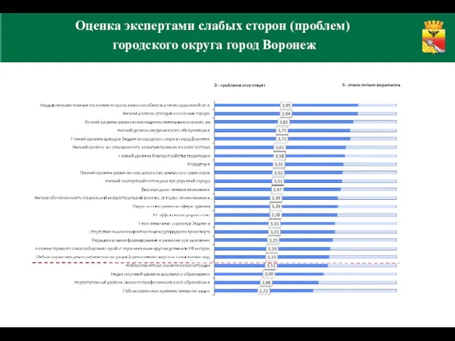 Оценка экспертами слабых сторон (проблем) городского округа город Воронеж