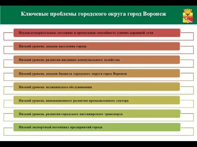 Ключевые проблемы городского округа город Воронеж