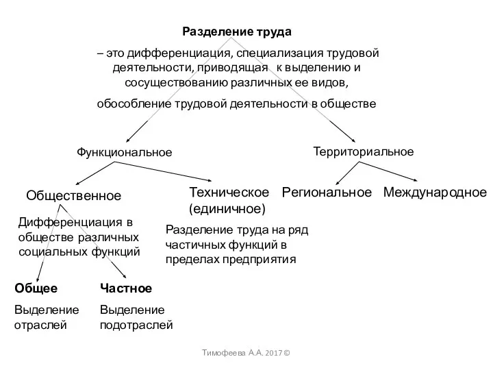 Функциональное Территориальное Общественное Техническое (единичное) Региональное Международное Общее Выделение отраслей Частное