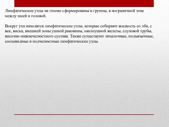 Лимфатические узлы на голове сформированы в группы, в пограничной зоне между