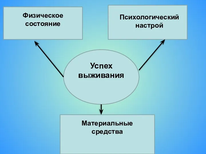 Успех выживания Психологический настрой Материальные средства Физическое состояние