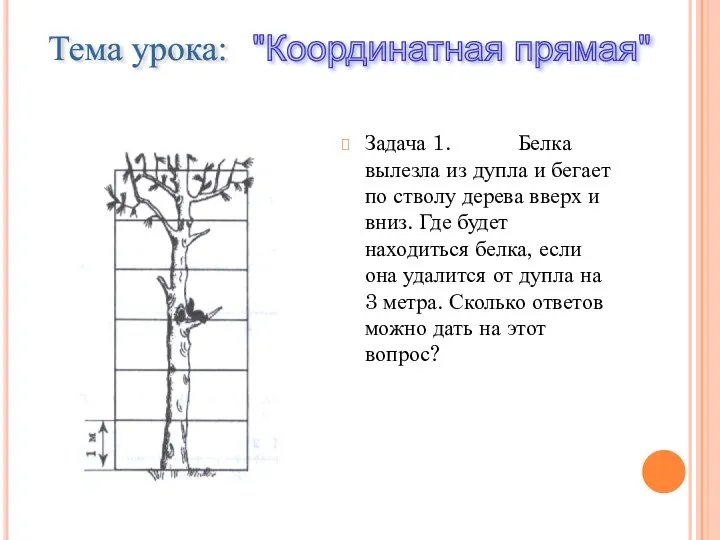 Задача 1. Белка вылезла из дупла и бегает по стволу дерева