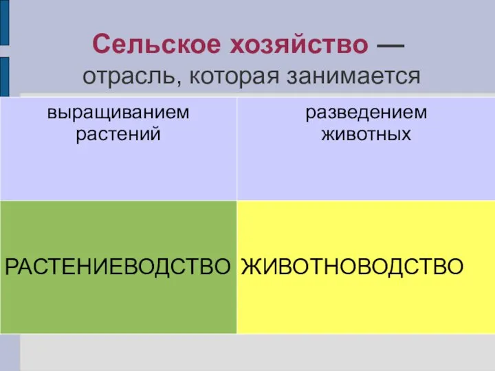 Сельское хозяйство — отрасль, которая занимается