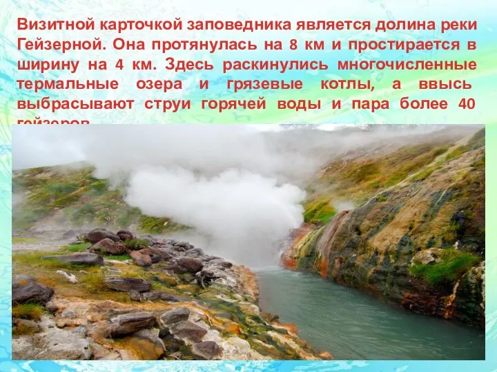 Визитной карточкой заповедника является долина реки Гейзерной. Она протянулась на 8