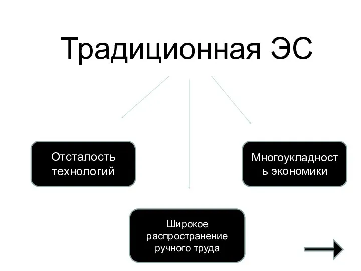 Традиционная ЭС Отсталость технологий Широкое распространение ручного труда Многоукладность экономики