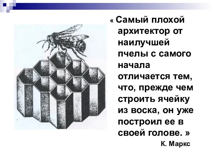 « Самый плохой архитектор от наилучшей пчелы с самого начала отличается