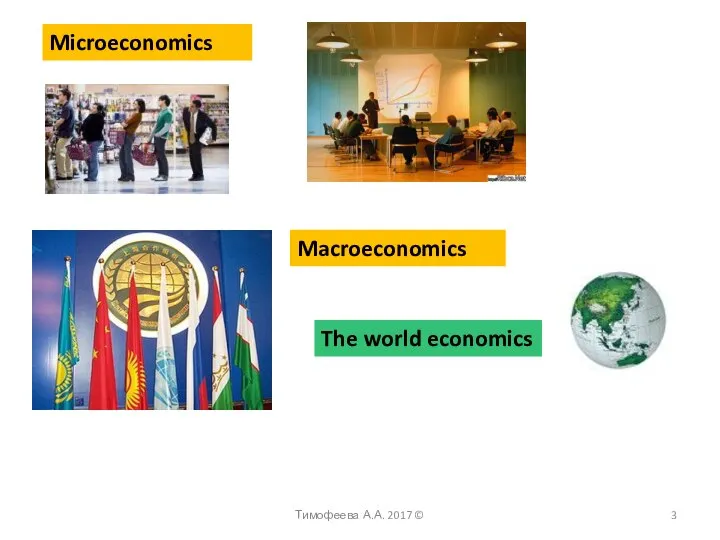 Microeconomics Macroeconomics The world economics Тимофеева А.А. 2017 ©