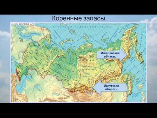 Коренные запасы Иркутская область Магаданская область