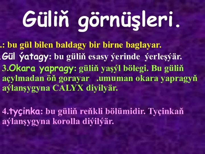 Güliň görnüşleri. : bu gül bilen baldagy bir birne baglayar. Gül