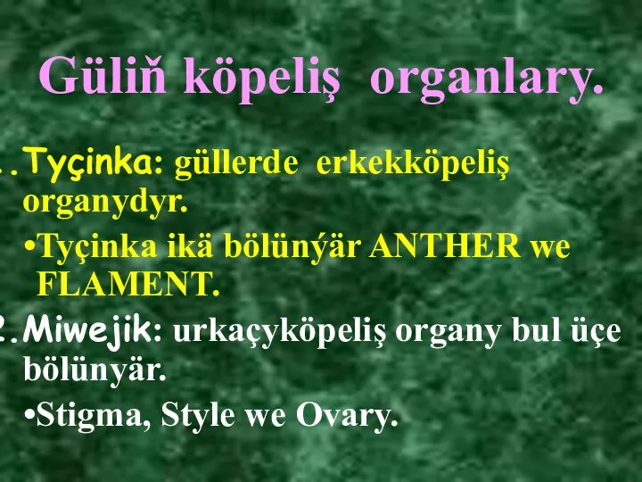 Güliň köpeliş organlary. Tyçinka: güllerde erkekköpeliş organydyr. Tyçinka ikä bölünýär ANTHER