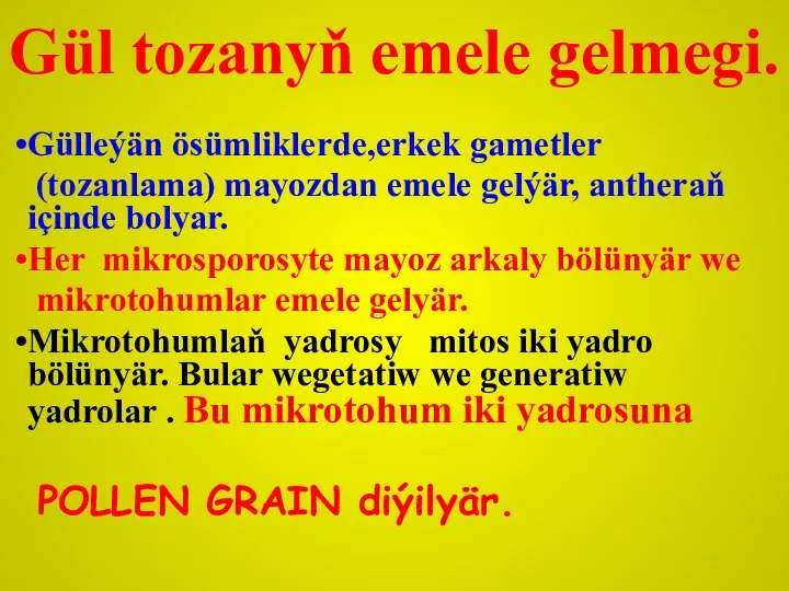 Gül tozanyň emele gelmegi. Gülleýän ösümliklerde,erkek gametler (tozanlama) mayozdan emele gelýär,