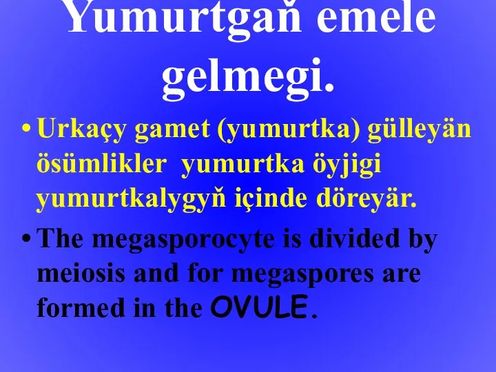 Yumurtgaň emele gelmegi. Urkaçy gamet (yumurtka) gülleyän ösümlikler yumurtka öyjigi yumurtkalygyň