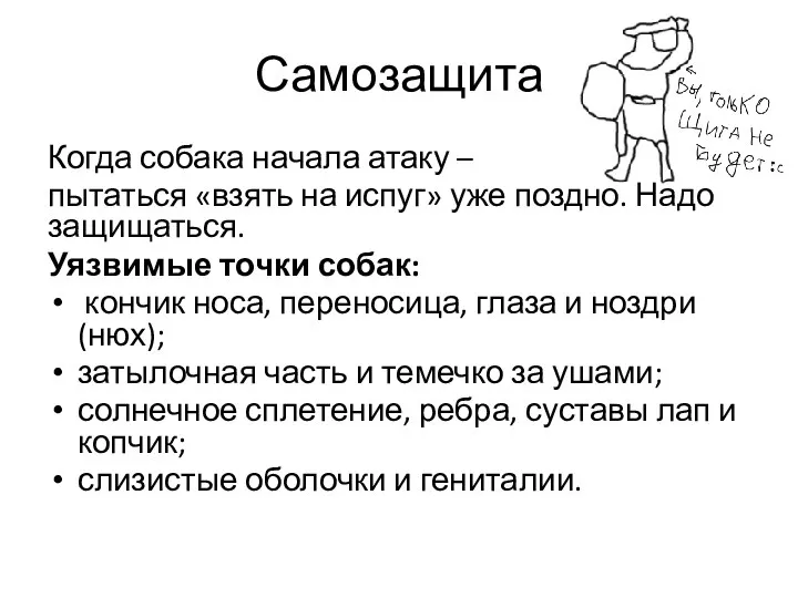 Самозащита Когда собака начала атаку – пытаться «взять на испуг» уже