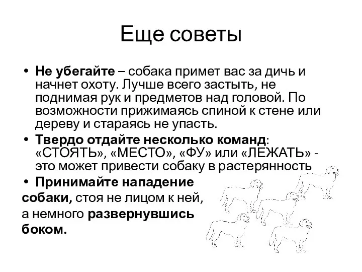 Еще советы Не убегайте – собака примет вас за дичь и