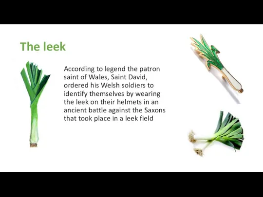 The leek According to legend the patron saint of Wales, Saint