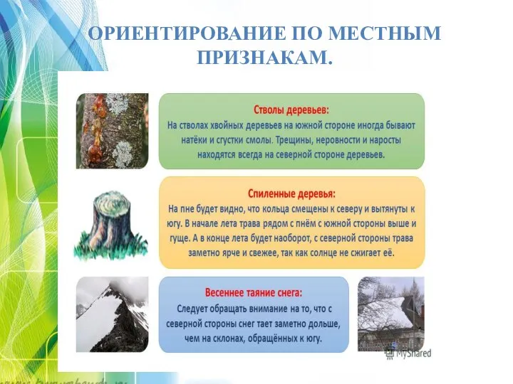 ОРИЕНТИРОВАНИЕ ПО МЕСТНЫМ ПРИЗНАКАМ.