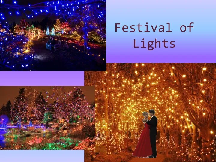 Festival of Lights