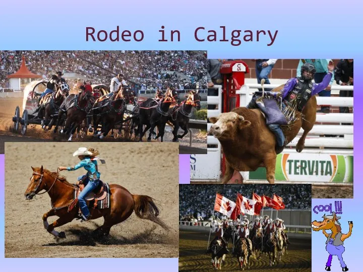 Rodeo in Calgary