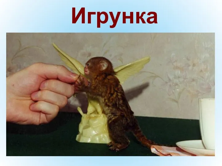 Игрунка