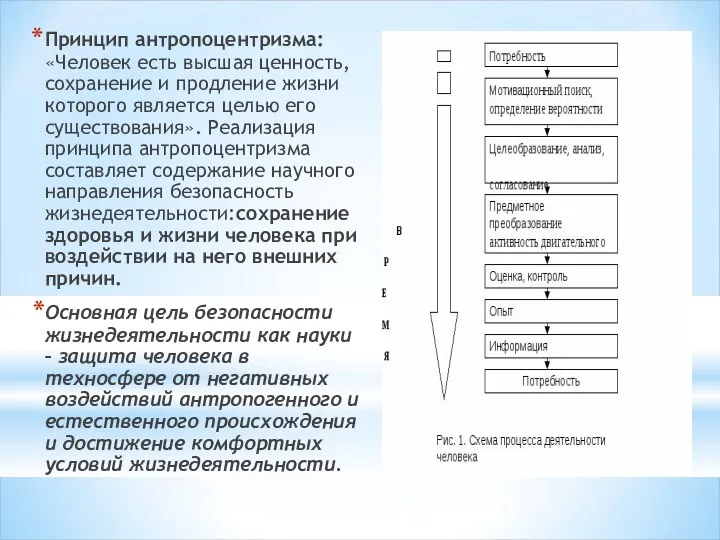 Принцип антропоцентризма:«Человек есть высшая ценность, сохранение и продление жизни которого является