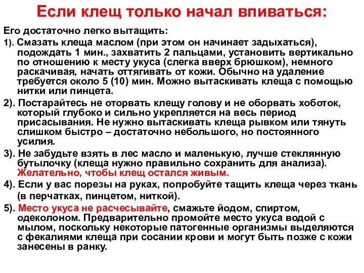 Если клещ только начал впиваться: Его достаточно легко вытащить: 1). Смазать