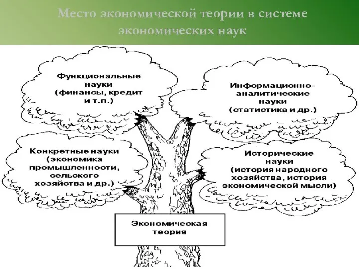 Место экономической теории в системе экономических наук