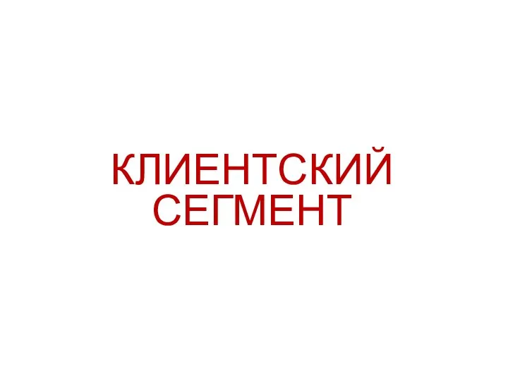 КЛИЕНТСКИЙ СЕГМЕНТ