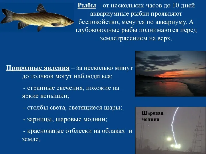 Рыбы – от нескольких часов до 10 дней аквариумные рыбки проявляют