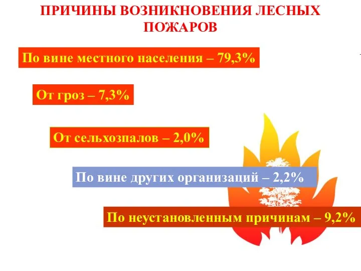 ПРИЧИНЫ ВОЗНИКНОВЕНИЯ ЛЕСНЫХ ПОЖАРОВ По вине местного населения – 79,3% От