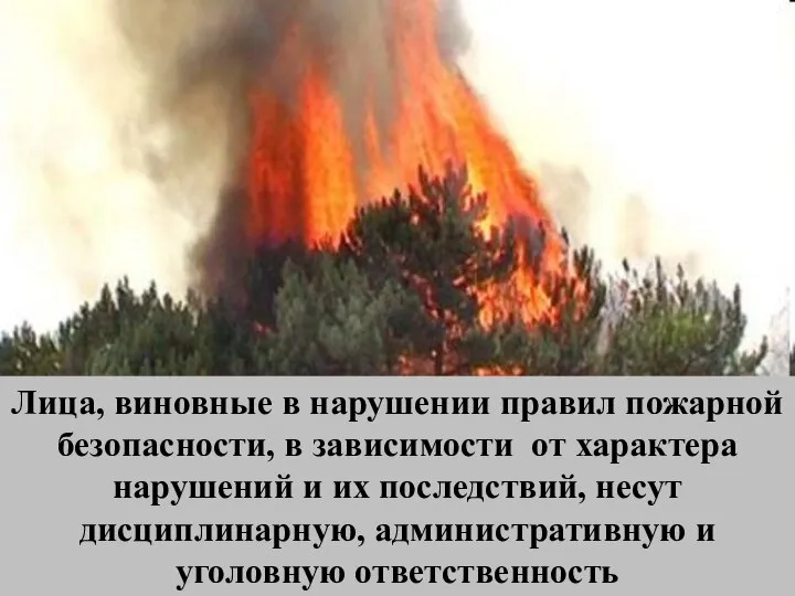 Лица, виновные в нарушении правил пожарной безопасности, в зависимости от характера