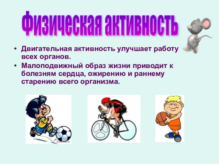 Двигательная активность улучшает работу всех органов. Малоподвижный образ жизни приводит к