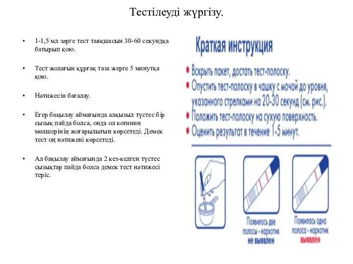 Тестілеуді жүргізу. 1-1,5 мл зәрге тест таяқшасын 30-60 секундқа батырып қою.