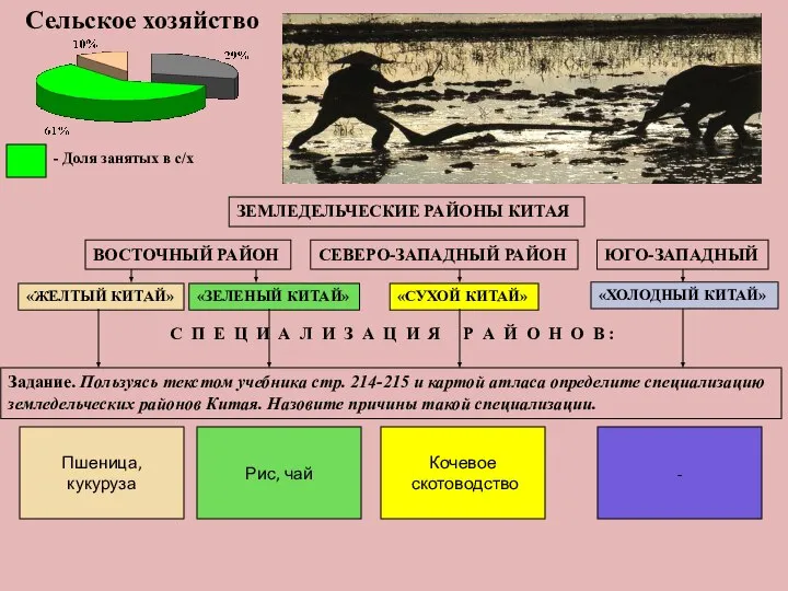 Сельское хозяйство ЗЕМЛЕДЕЛЬЧЕСКИЕ РАЙОНЫ КИТАЯ ВОСТОЧНЫЙ РАЙОН «ЖЕЛТЫЙ КИТАЙ» «ЗЕЛЕНЫЙ КИТАЙ»