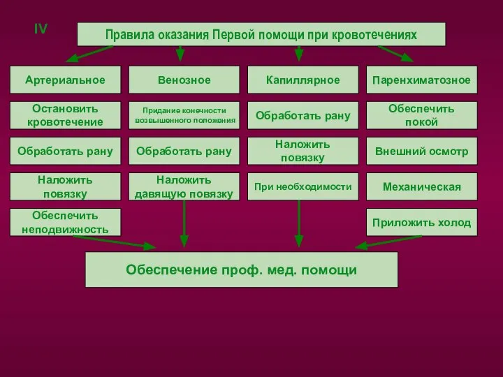 IV Правила оказания Первой помощи при кровотечениях Артериальное Обеспечить неподвижность Наложить