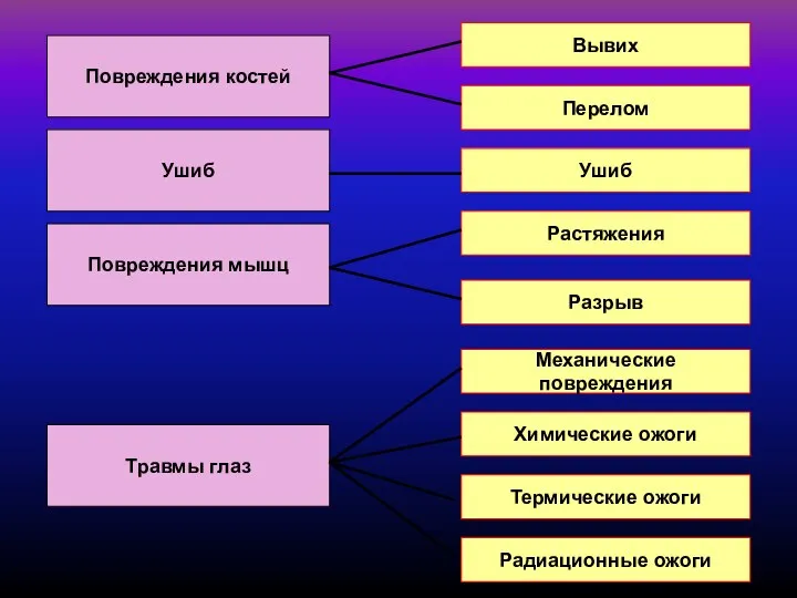 Вывих Перелом Радиационные ожоги Ушиб Разрыв Термические ожоги Растяжения Механические повреждения