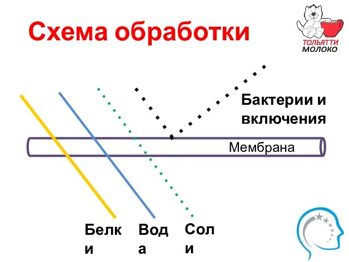 Схема обработки Вода Соли Бактерии и включения Белки Мембрана