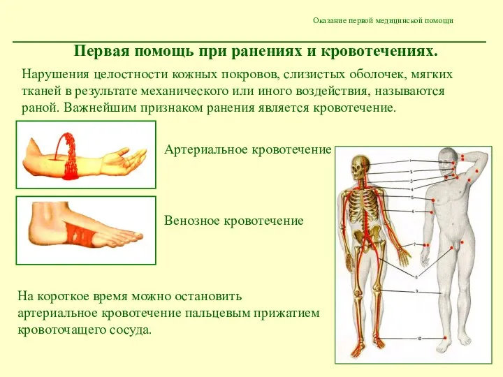 Оказание первой медицинской помощи Первая помощь при ранениях и кровотечениях. Артериальное